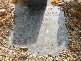 image of grave number 679380